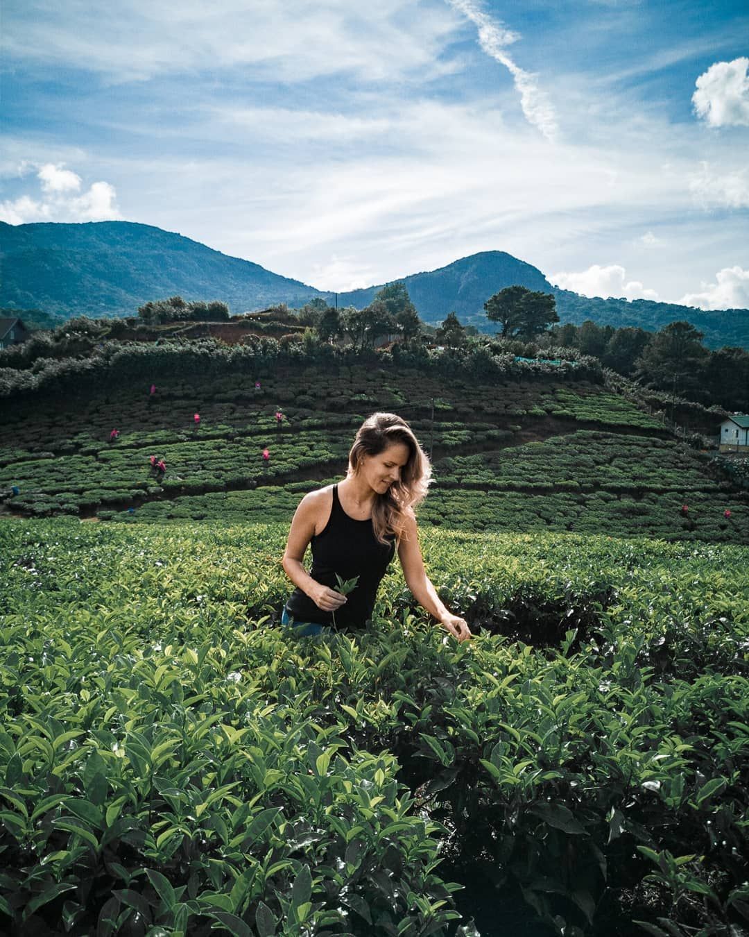 Nuwaraeliya 006